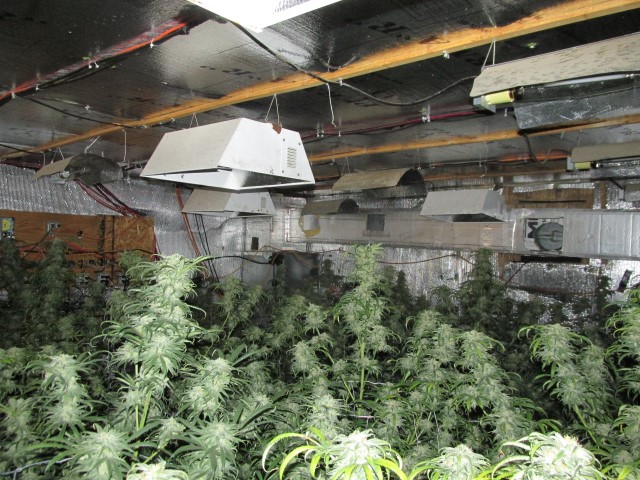 Cannabis quickly coming off its high; the green rush turning red; impact on real estate