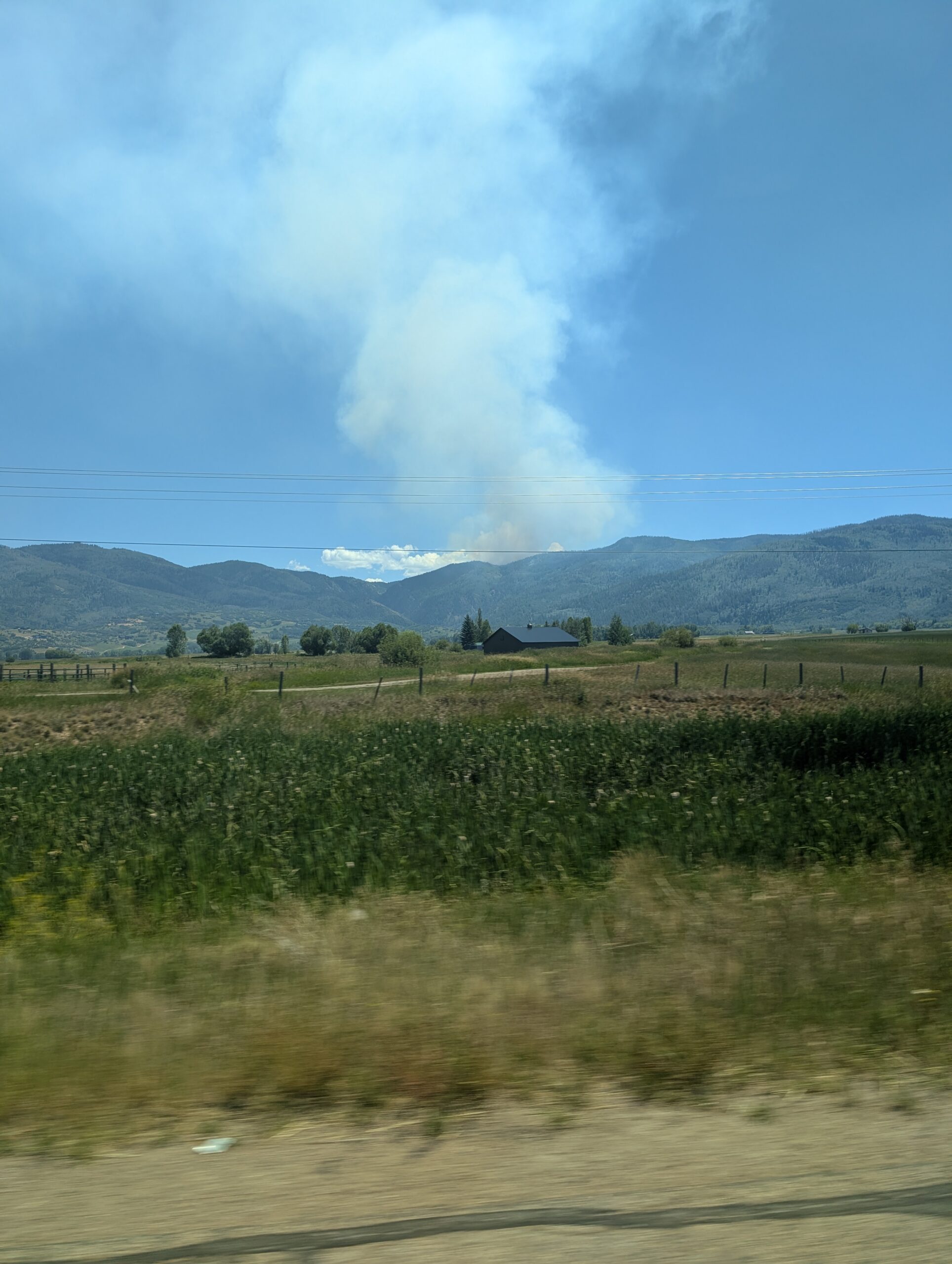 wildfire